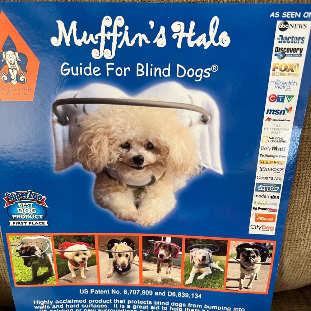 Muffin’s Halo guide for blind dogs